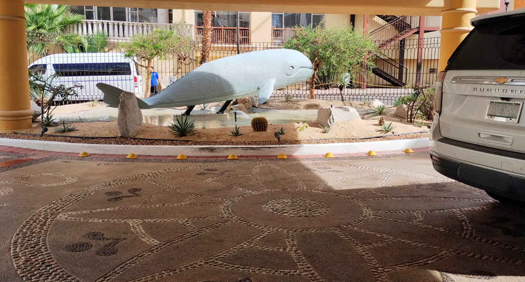 Marina Fiesta Resort and Spa Transportation